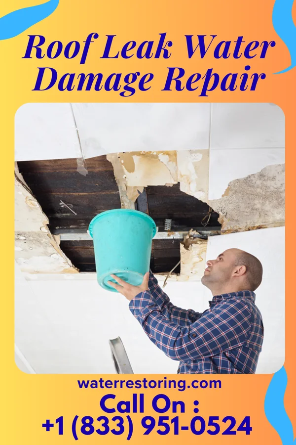 Roof Leak Water Damage Repair in Hazel, SD